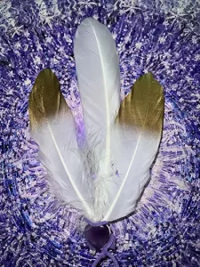 Aura clearing by WHITE FEATHER